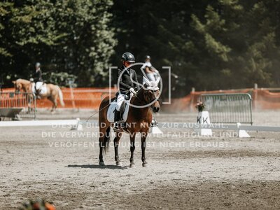 © Niki Buchegger, turnier-fotos.at