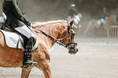 © Niki Buchegger, turnier-fotos.at