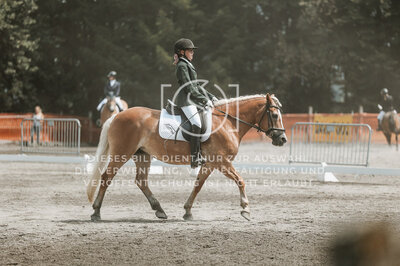 © Niki Buchegger, turnier-fotos.at