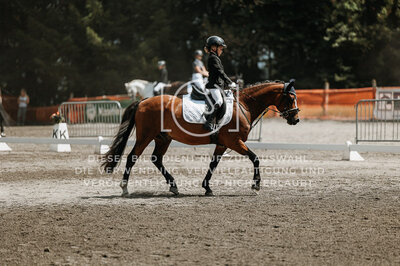 © Niki Buchegger, turnier-fotos.at