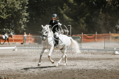 © Niki Buchegger, turnier-fotos.at