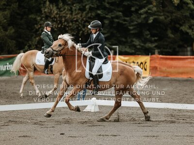 © Niki Buchegger, turnier-fotos.at
