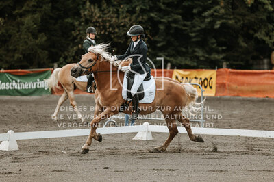 © Niki Buchegger, turnier-fotos.at