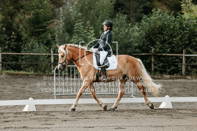 © Niki Buchegger, turnier-fotos.at