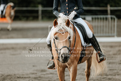 © Niki Buchegger, turnier-fotos.at