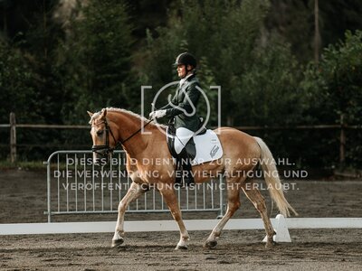© Niki Buchegger, turnier-fotos.at