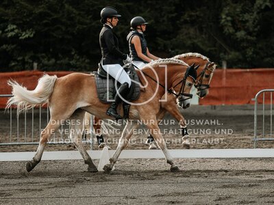 © Niki Buchegger, turnier-fotos.at
