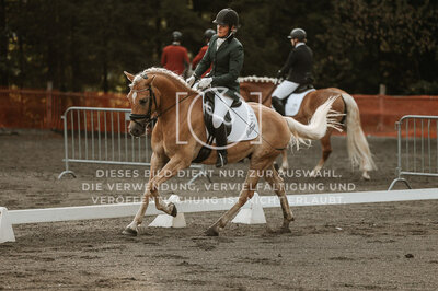 © Niki Buchegger, turnier-fotos.at