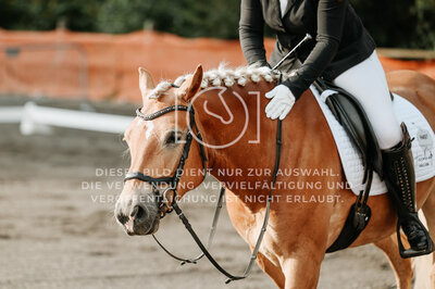 © Niki Buchegger, turnier-fotos.at