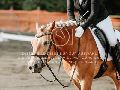 © Niki Buchegger, turnier-fotos.at
