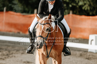 © Niki Buchegger, turnier-fotos.at