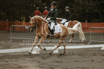© Niki Buchegger, turnier-fotos.at