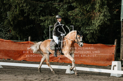© Niki Buchegger, turnier-fotos.at
