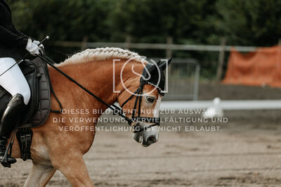 © Niki Buchegger, turnier-fotos.at