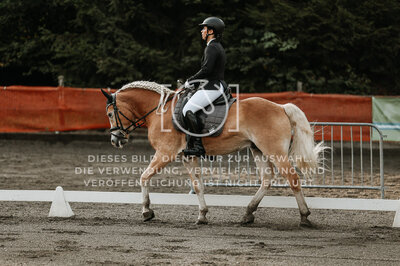 © Niki Buchegger, turnier-fotos.at