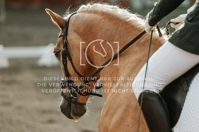 © Niki Buchegger, turnier-fotos.at