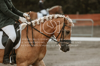 © Niki Buchegger, turnier-fotos.at