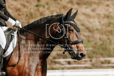 © Niki Buchegger, turnier-fotos.at