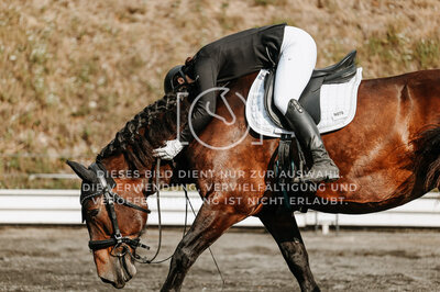 © Niki Buchegger, turnier-fotos.at