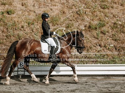 © Niki Buchegger, turnier-fotos.at
