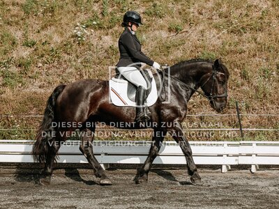 © Niki Buchegger, turnier-fotos.at