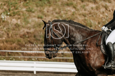 © Niki Buchegger, turnier-fotos.at