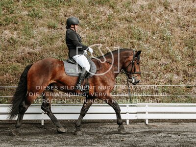 © Niki Buchegger, turnier-fotos.at