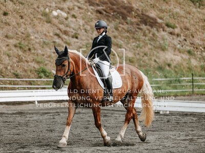 © Niki Buchegger, turnier-fotos.at