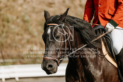 © Niki Buchegger, turnier-fotos.at