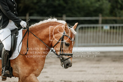 © Niki Buchegger, turnier-fotos.at