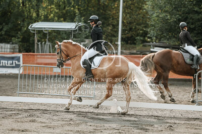© Niki Buchegger, turnier-fotos.at
