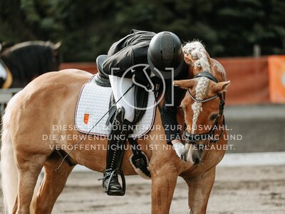 © Niki Buchegger, turnier-fotos.at