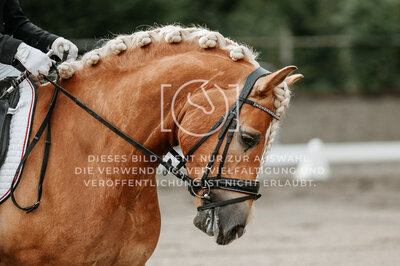 © Niki Buchegger, turnier-fotos.at
