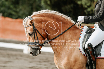 © Niki Buchegger, turnier-fotos.at