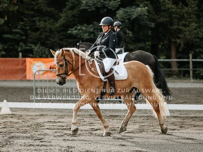 © Niki Buchegger, turnier-fotos.at