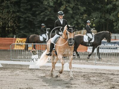 © Niki Buchegger, turnier-fotos.at