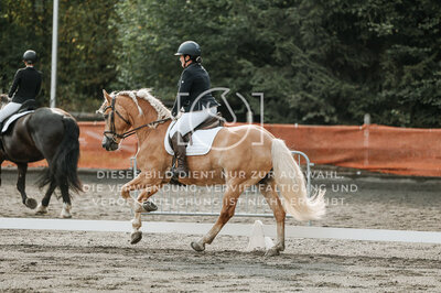© Niki Buchegger, turnier-fotos.at