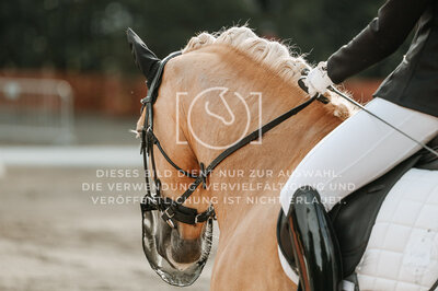 © Niki Buchegger, turnier-fotos.at