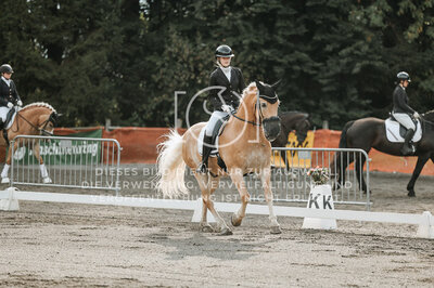 © Niki Buchegger, turnier-fotos.at