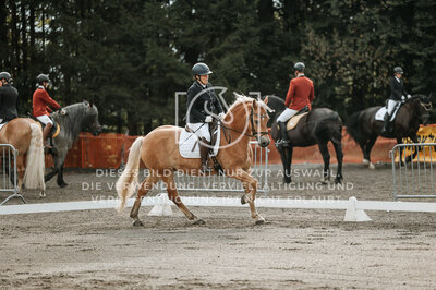 © Niki Buchegger, turnier-fotos.at