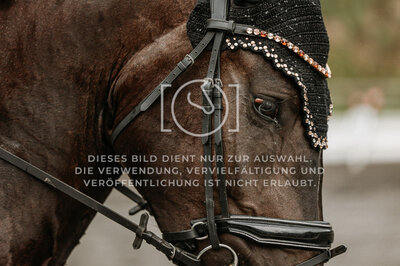 © Niki Buchegger, turnier-fotos.at