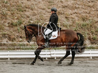 © Niki Buchegger, turnier-fotos.at