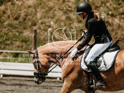 © Niki Buchegger, turnier-fotos.at