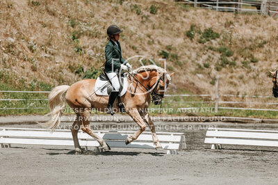 © Niki Buchegger, turnier-fotos.at