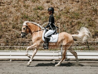 © Niki Buchegger, turnier-fotos.at
