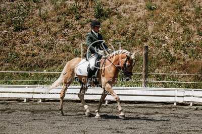 © Niki Buchegger, turnier-fotos.at
