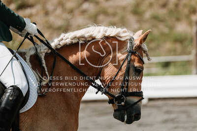 © Niki Buchegger, turnier-fotos.at