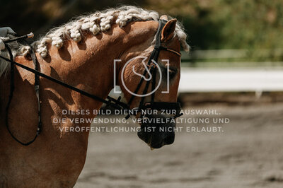 © Niki Buchegger, turnier-fotos.at