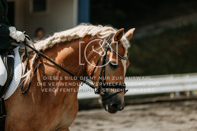 © Niki Buchegger, turnier-fotos.at