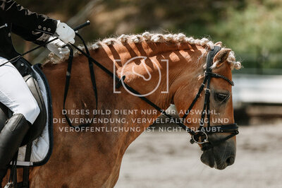 © Niki Buchegger, turnier-fotos.at